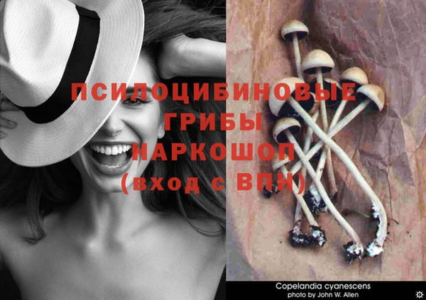 дурь Надым
