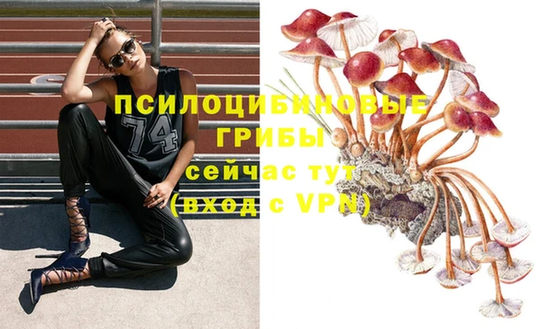 не бодяженный Нея