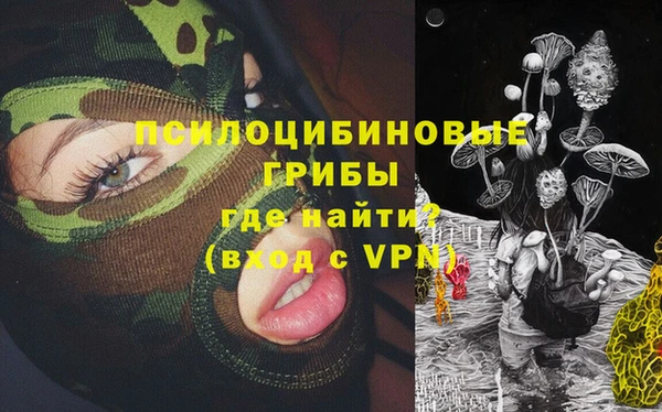 гидропоника Новозыбков