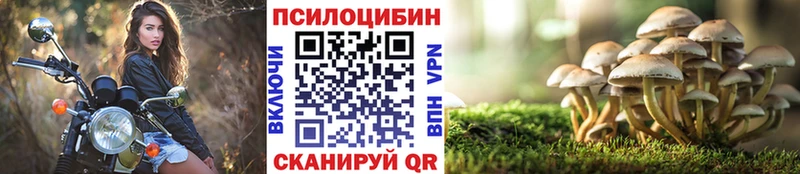 Псилоцибиновые грибы MAGIC MUSHROOMS  Мураши 